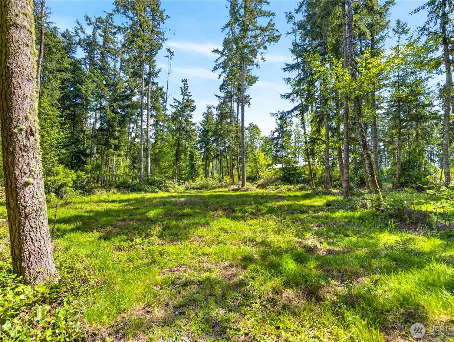 Vacant Land For Sale - Evergreen Lane<br/> Freeland, WA 98249