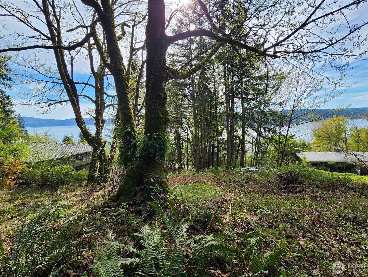 Vacant Land For Sale - E Lake Sammamish Parkway<br/> Sammamish, WA 98074