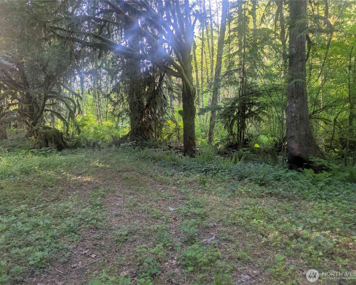 Vacant Land For Sale - 63323 W Cascade Way #D3-19<br/> Marblemount, WA 98267