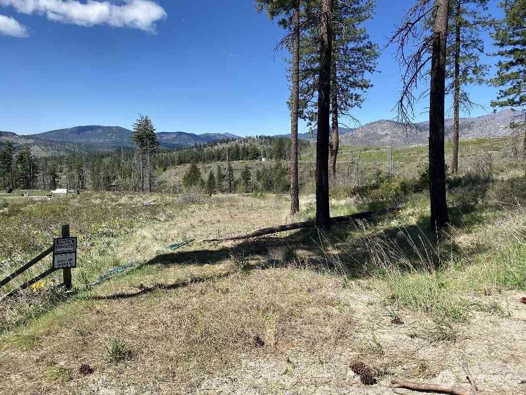 Vacant Land For Sale - 123 TBD Buzzard Lake Road<br/> Okanogan, WA 98840