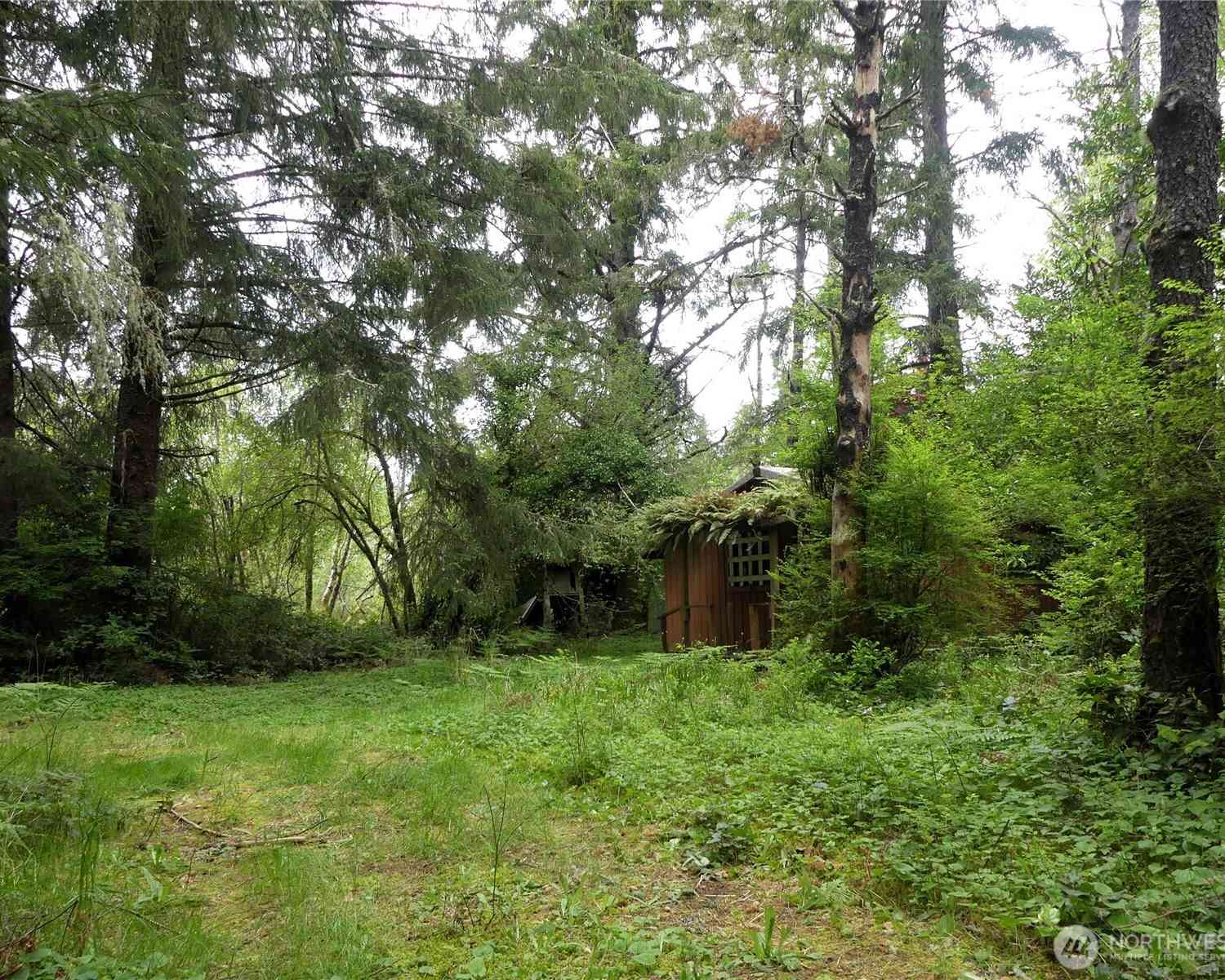 Vacant Land For Sale - 14001 Birch Street<br/> Pacific County, Long Beach, WA 98631