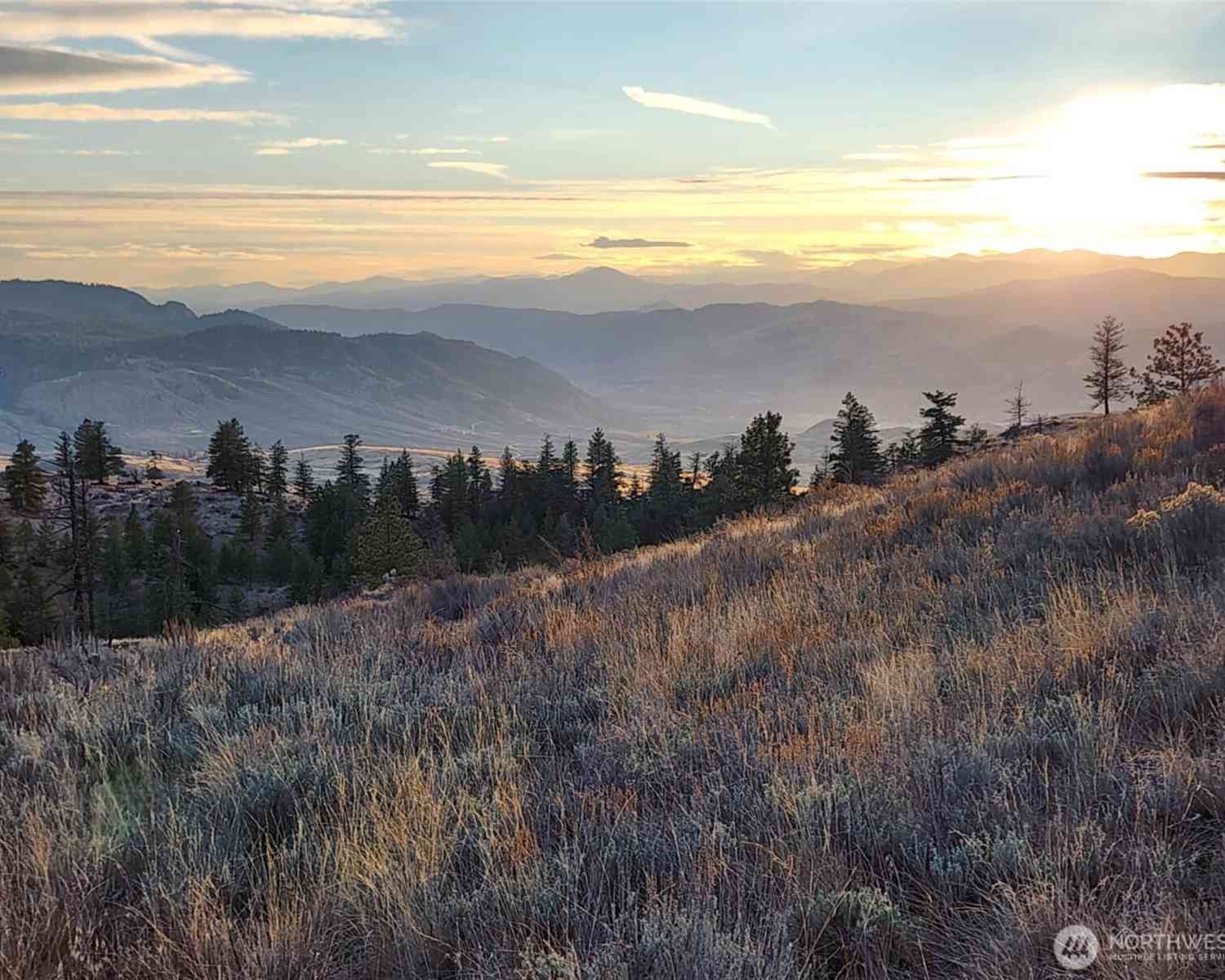 Vacant Land For Sale - Blue Grouse (div 5, Lot 42)<br/> Oroville, WA 98844