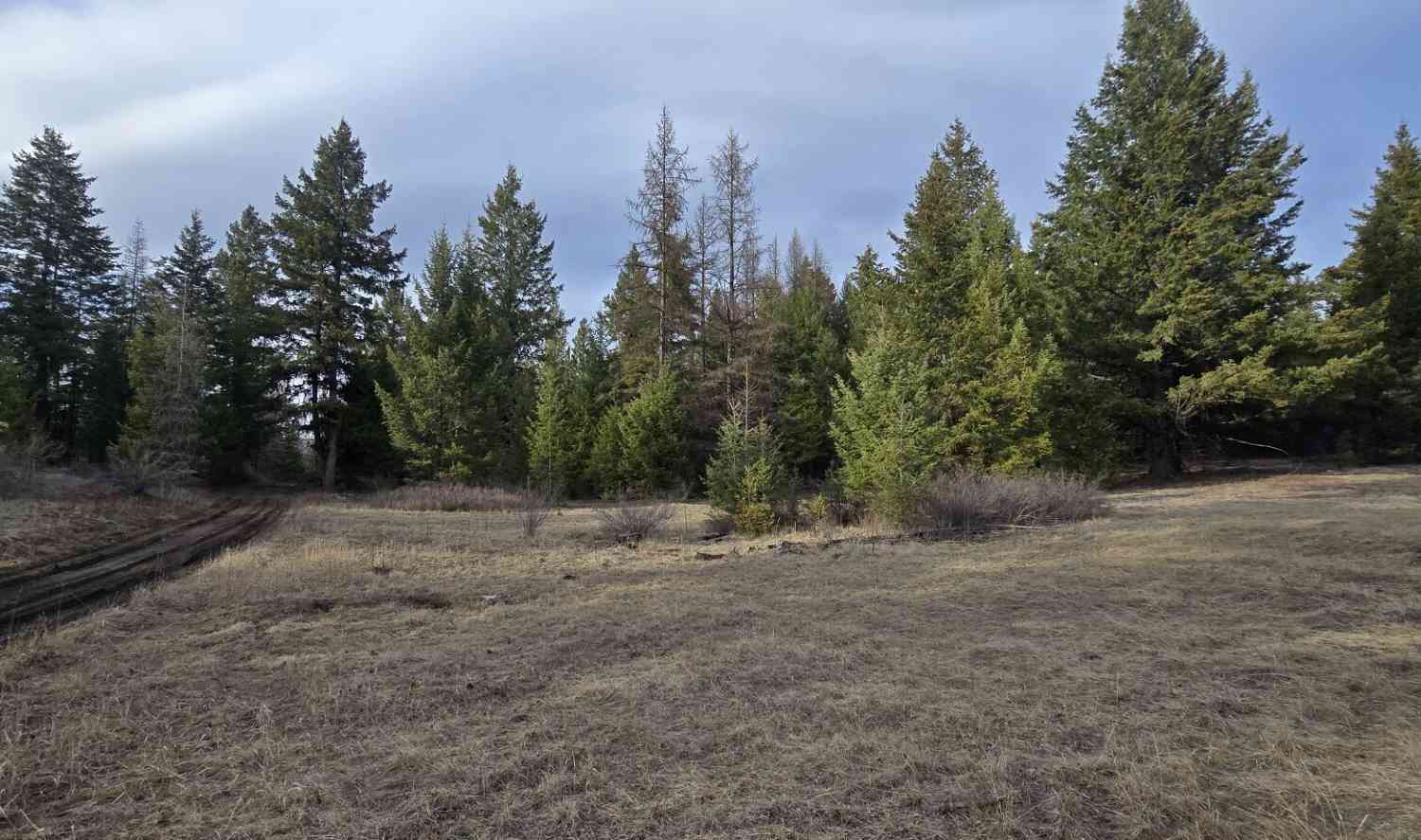 Vacant Land For Sale - 99 Prior Loop Road<br/> Oroville, WA 98844
