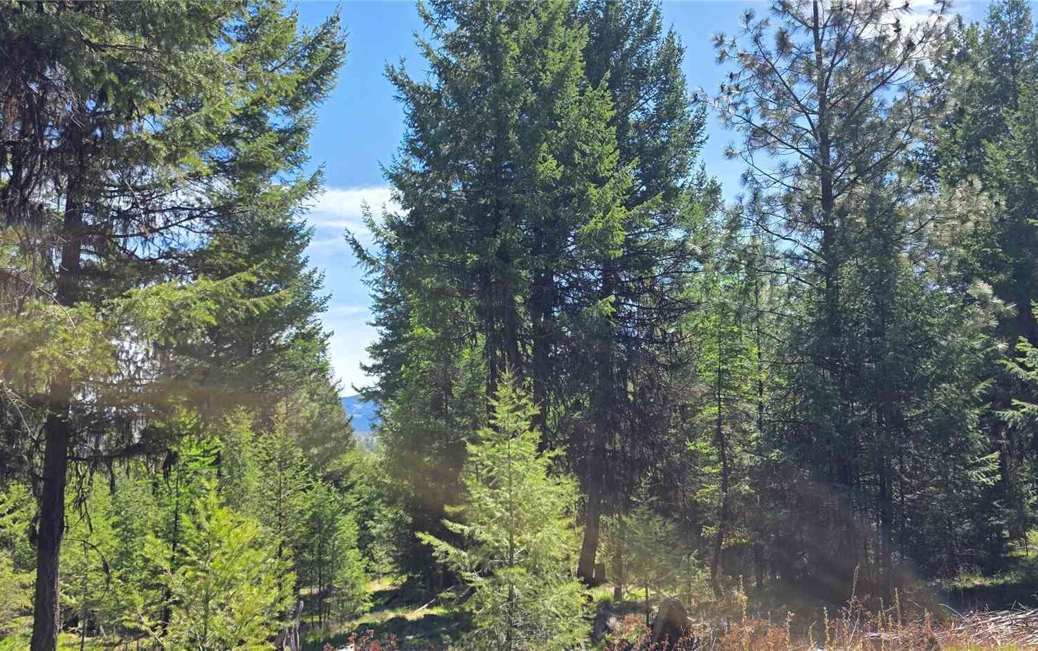 Vacant Land For Sale - 111 Tbd Wannamaker Rd<br/> Oroville, WA 98844