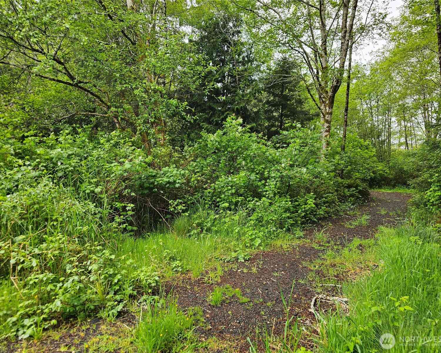 Vacant Land For Sale - Patricia Drive<br/> Copalis Beach, WA 98535