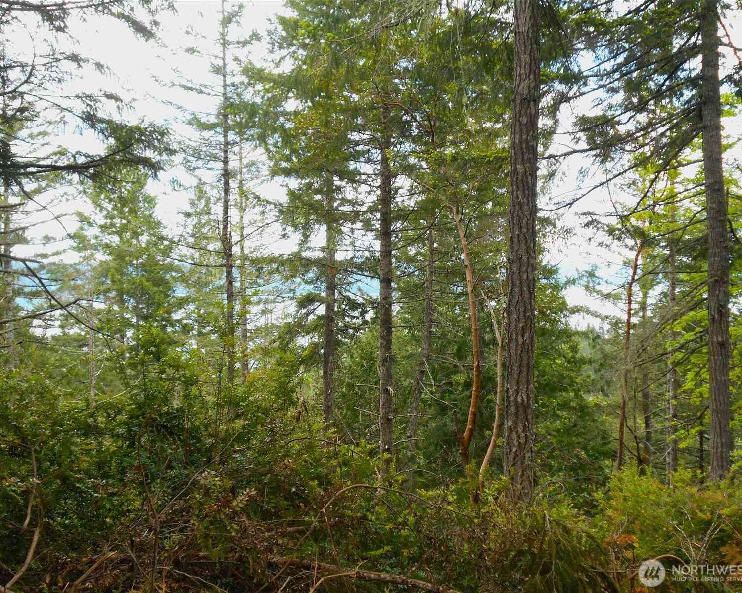Vacant Land For Sale - 101 Highway<br/> Brinnon, WA 98320