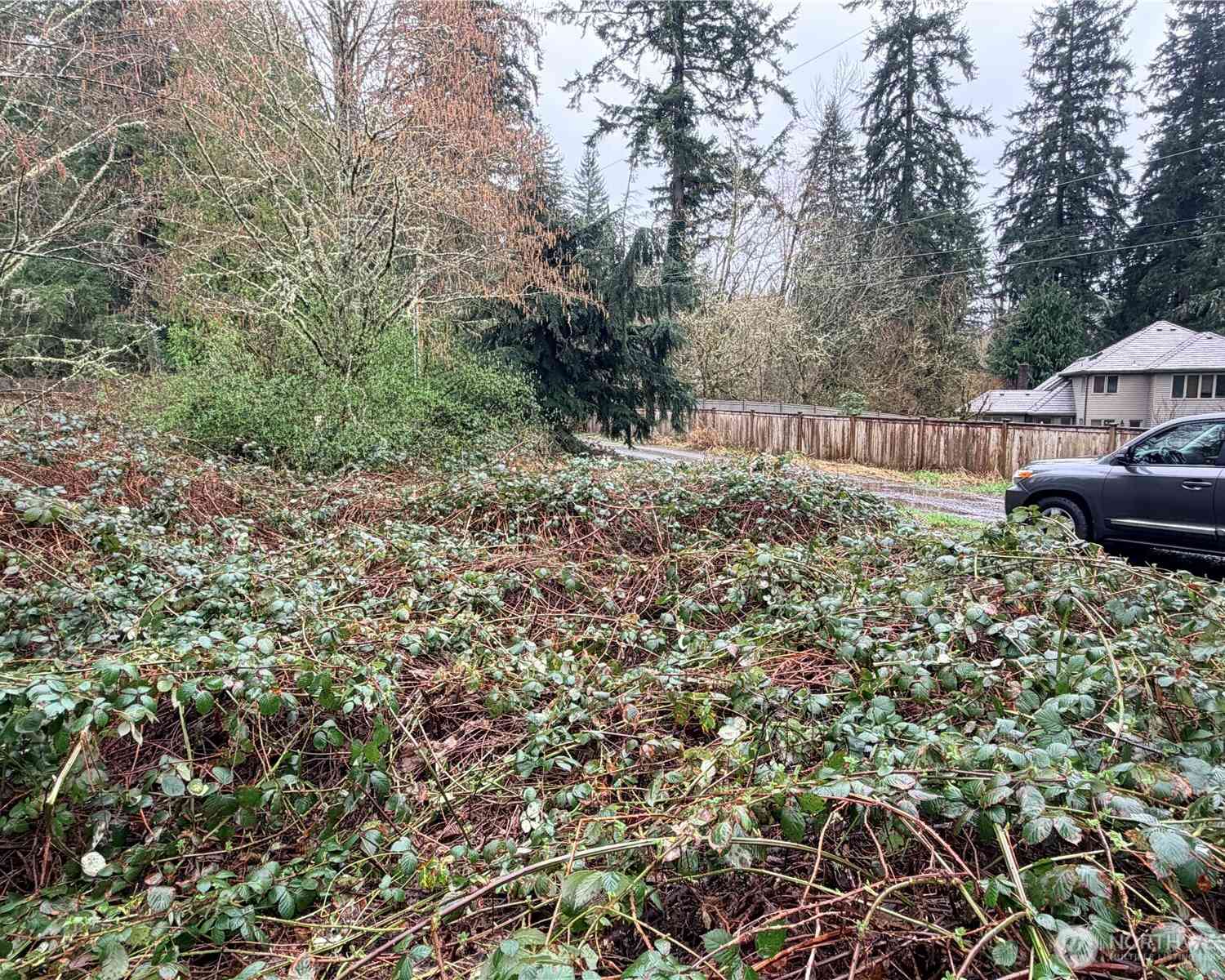 Vacant Land For Sale - 0 XXXX 238th Avenue<br/> Redmond, WA 98053