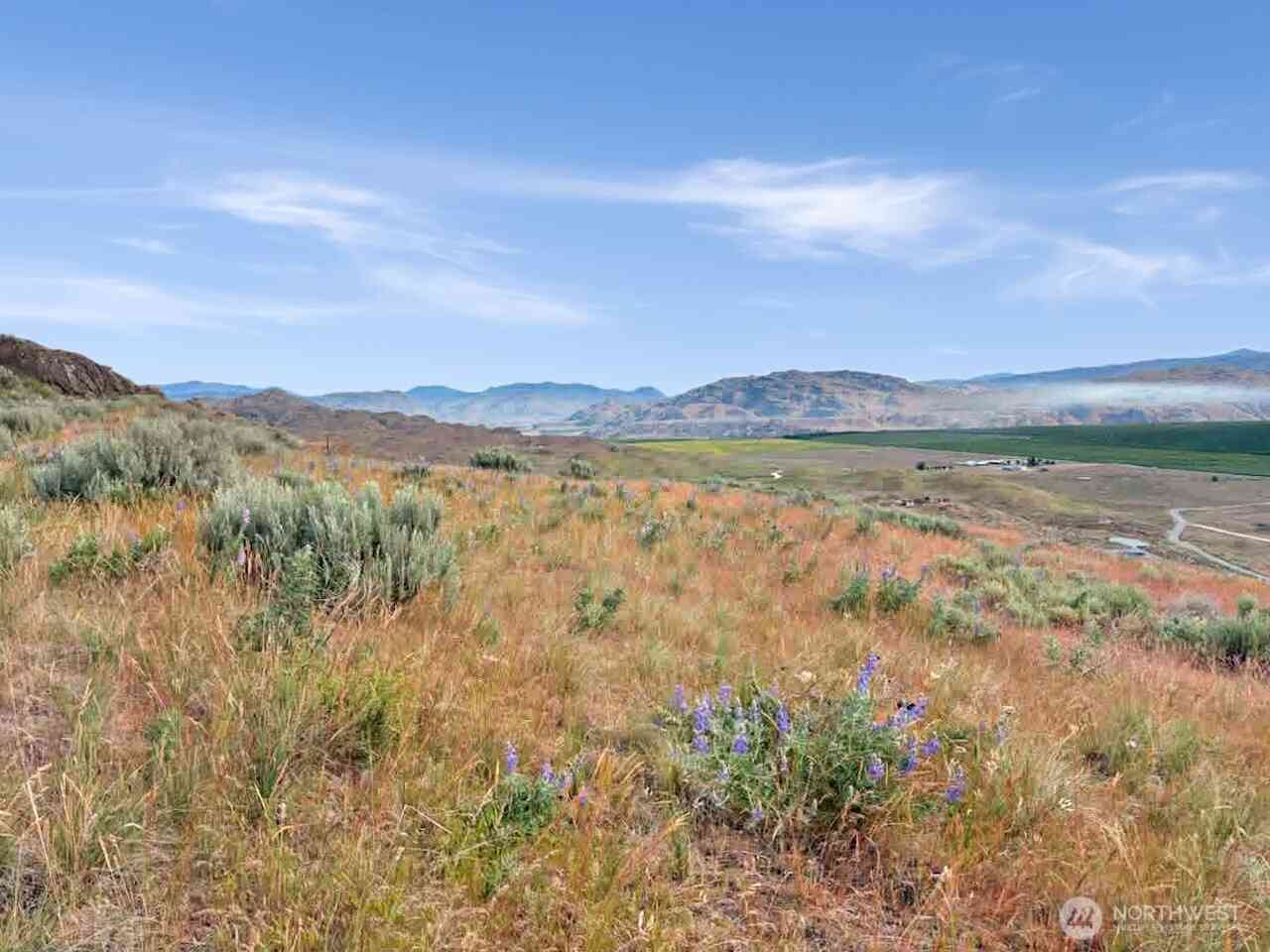 Vacant Land For Sale - Andalusian Lot 4<br/> Brewster, WA 98812