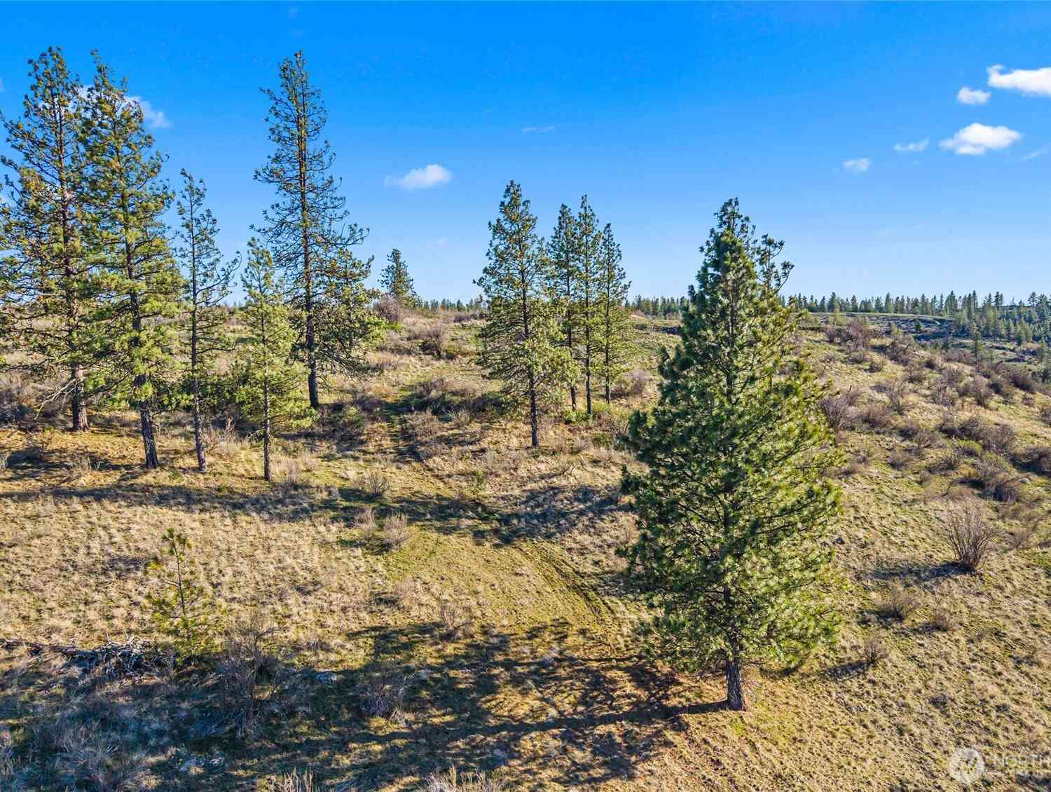 Vacant Land For Sale - 27220 Underwood Canyon<br/> Creston, WA 99117