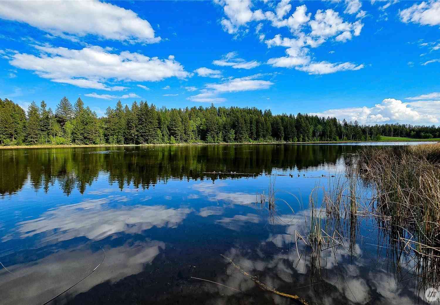 Vacant Land For Sale - 196 TBD Davies Road<br/> Oroville, WA 98844