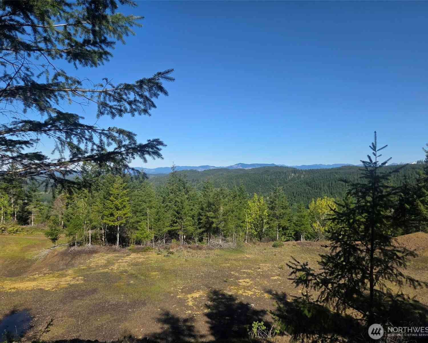 Vacant Land For Sale - 7241 W Cloquallum Road<br/> Shelton, WA 98584