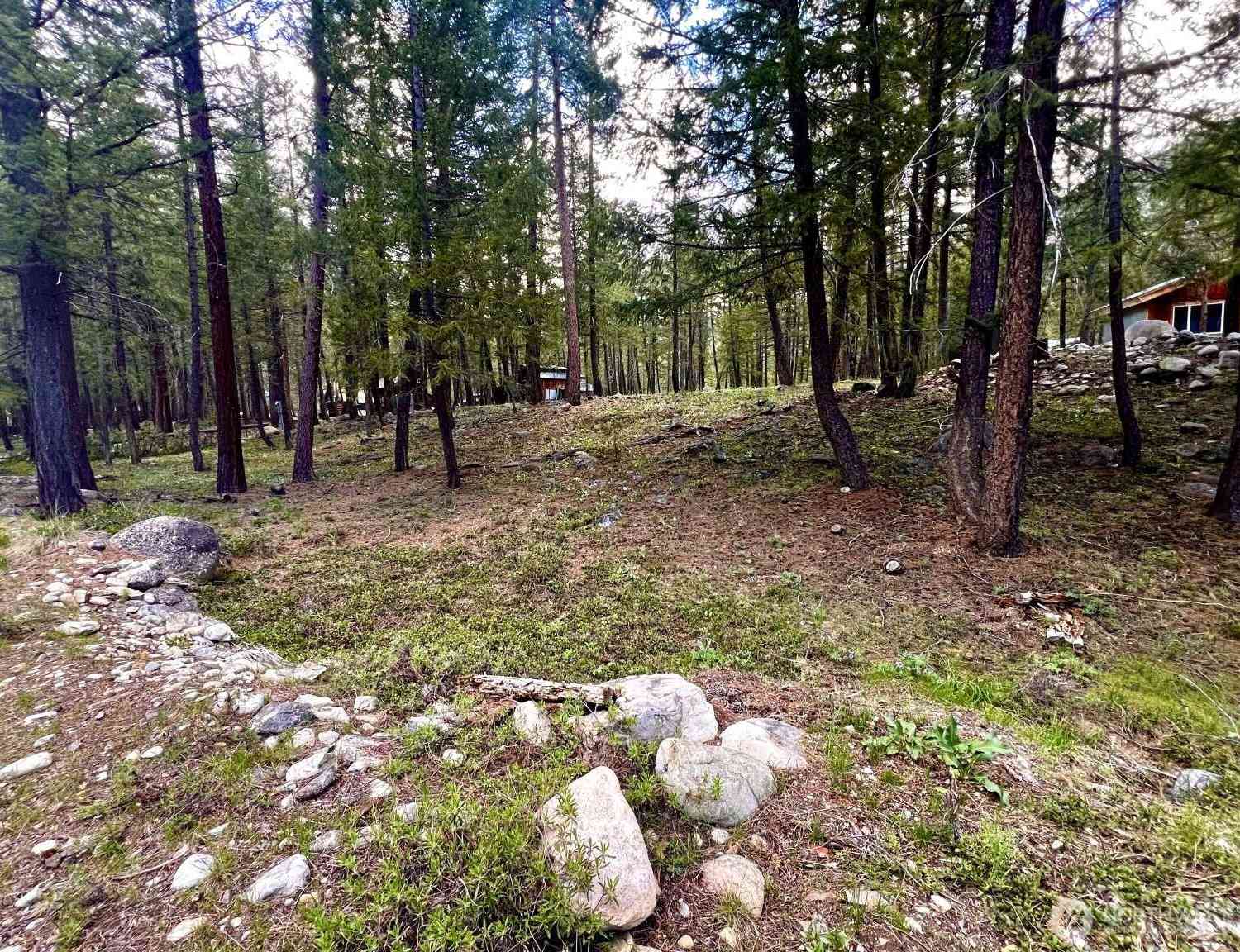 Vacant Land For Sale - 35 Emerson Road<br/> Mazama, WA 98833