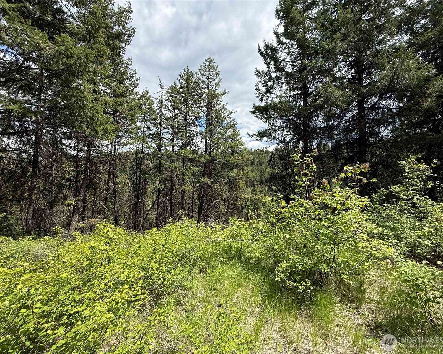 Vacant Land For Sale - 0 LOT 131 Slippery Hill Road<br/> Republic, WA 99166
