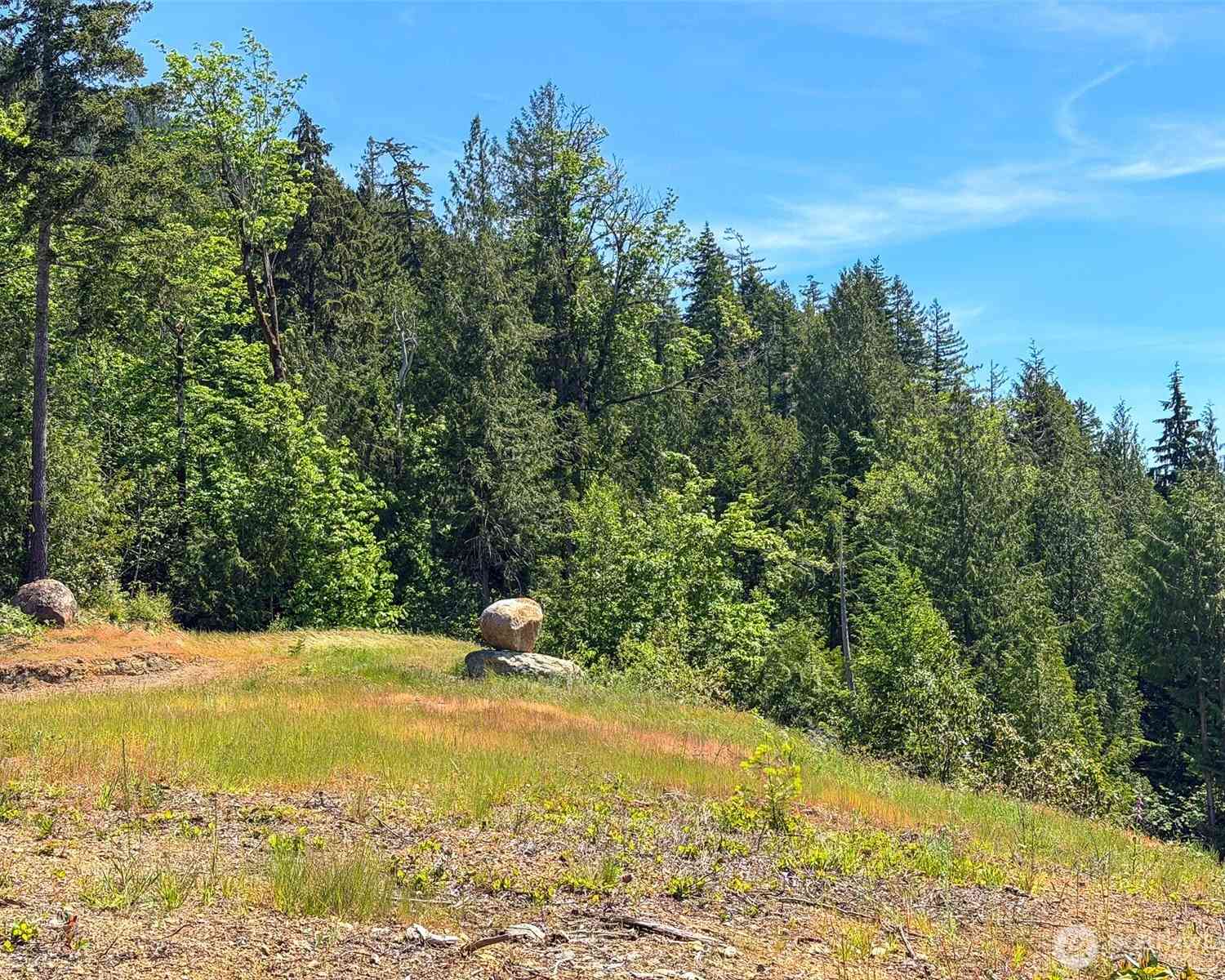 Vacant Land For Sale - 111 XXX Rocky Brook Road<br/> Brinnon, WA 98320
