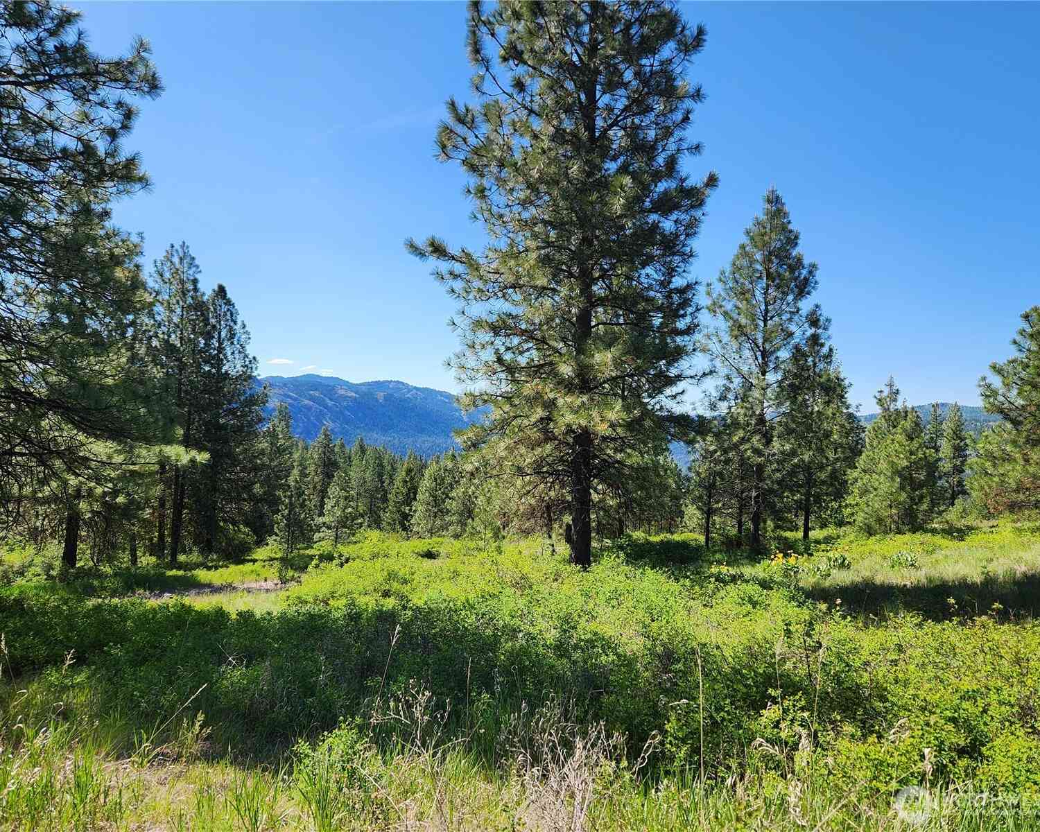 Vacant Land For Sale - Gold Mountain Road<br/> Republic, WA 99166