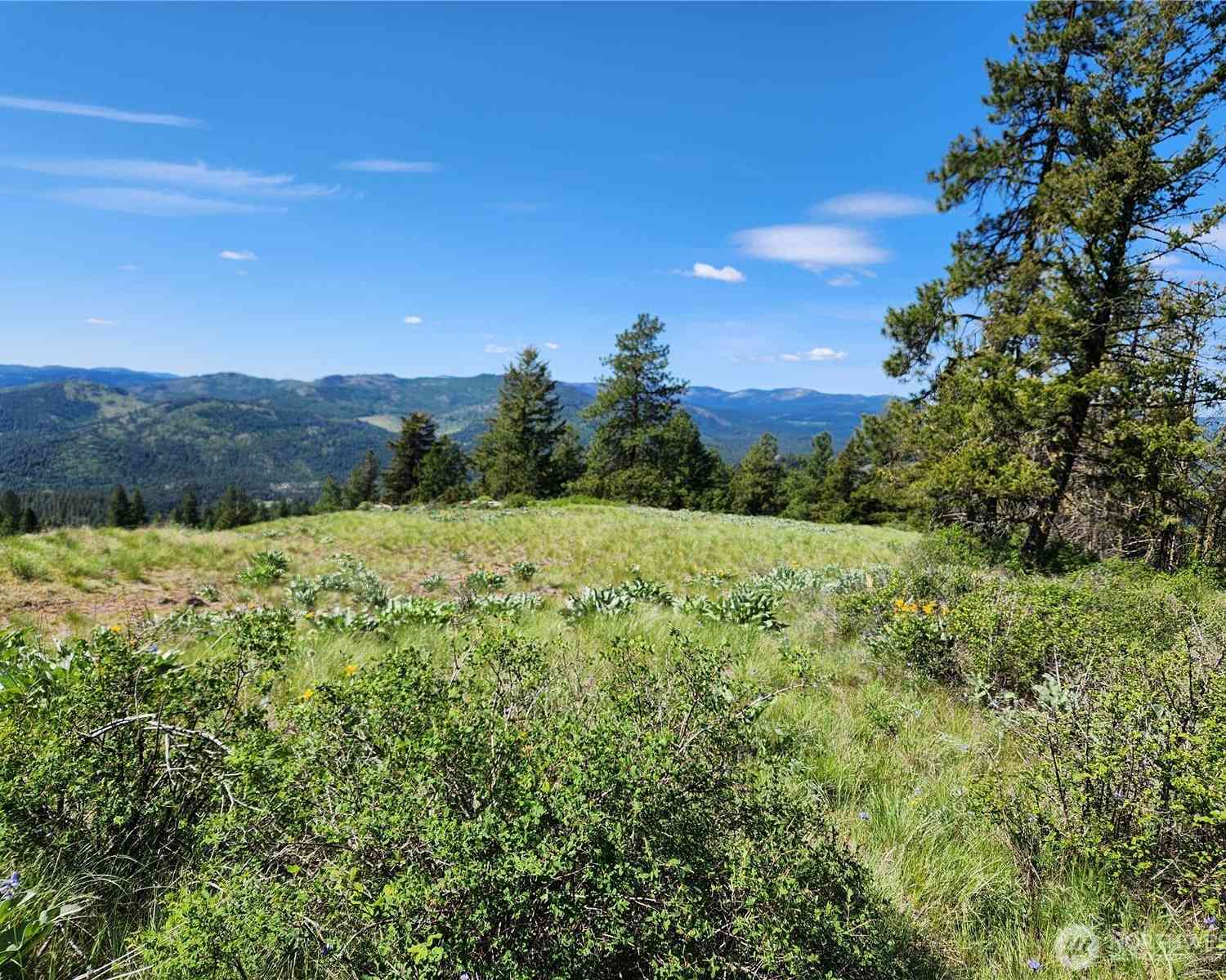 Vacant Land For Sale - E Knob Hill Road<br/> Republic, WA 99166