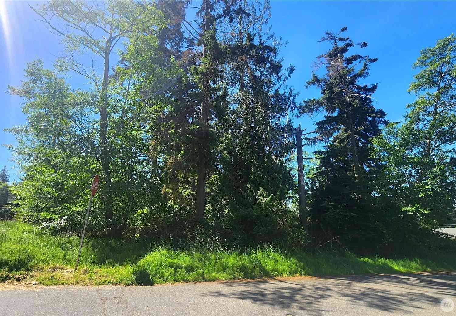 Vacant Land For Sale - 0 NHN S Harbor View Drive<br/> Langley, WA 98260