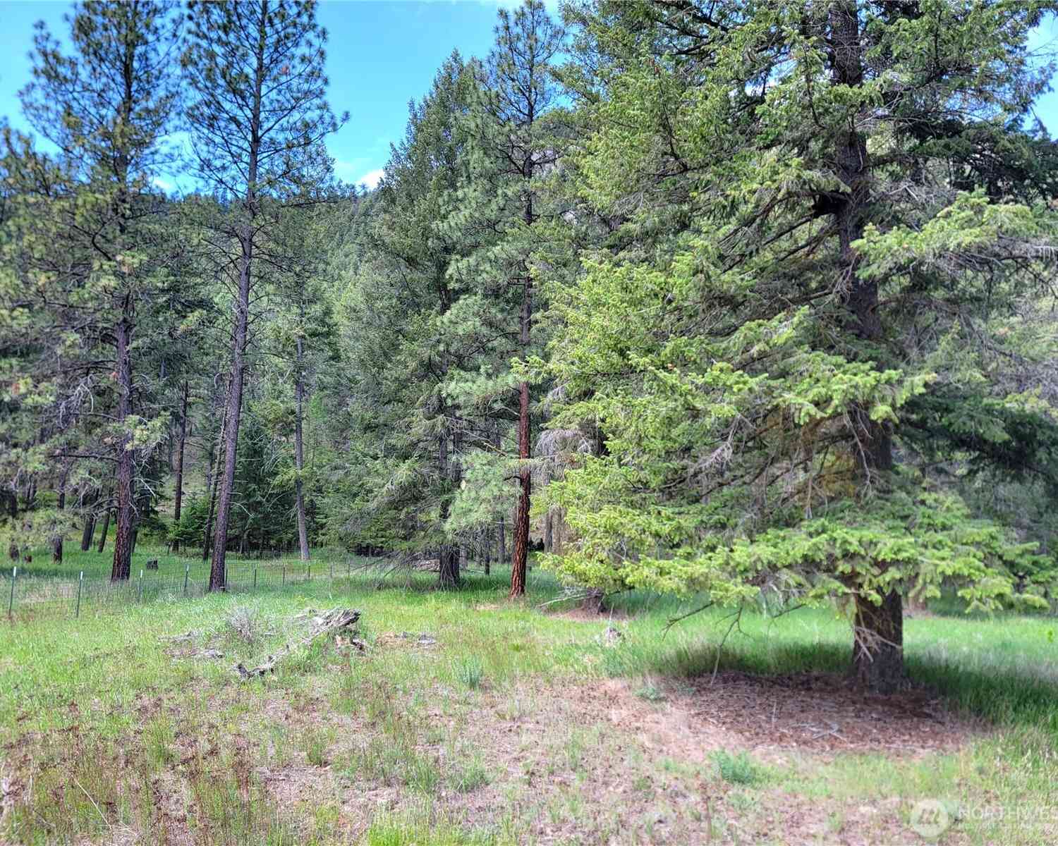 Vacant Land For Sale - Evergreen Drive<br/> Curlew, WA 99118