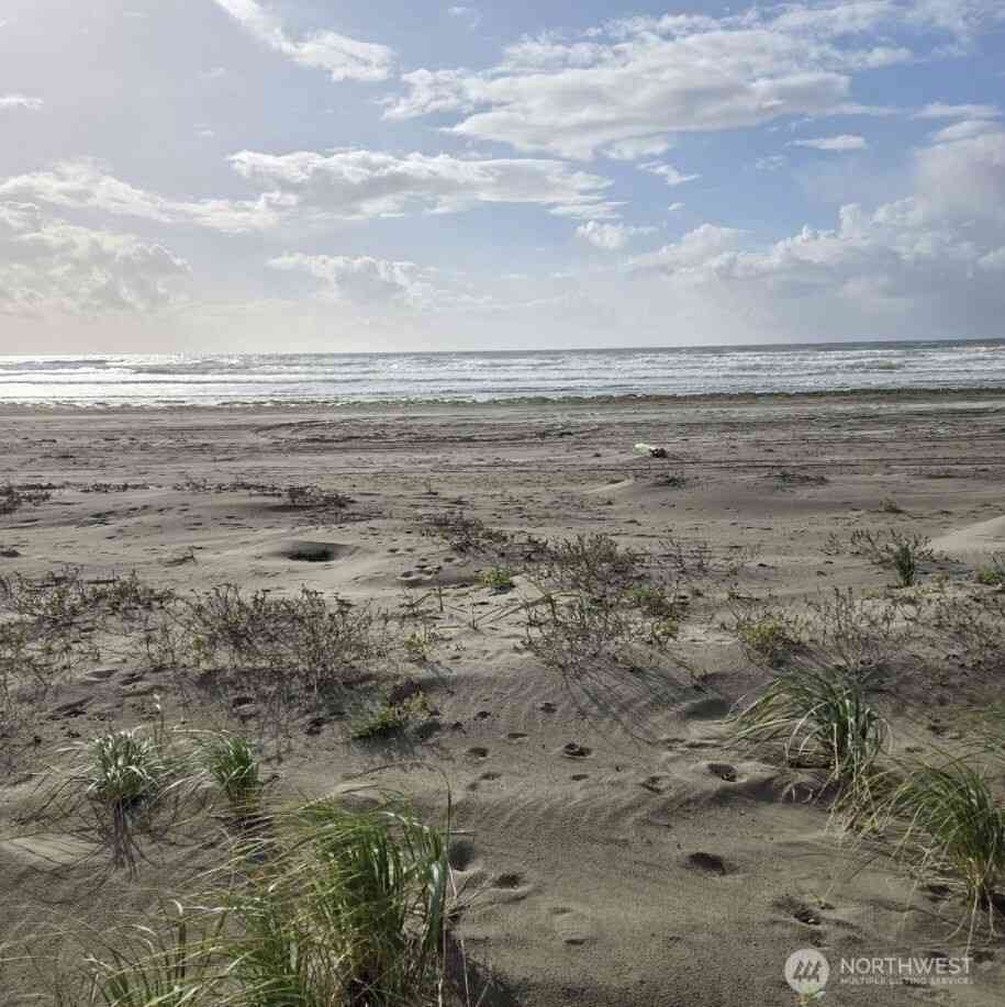 Vacant Land For Sale - 4721 State Route 105<br/> Grayland, WA 98547
