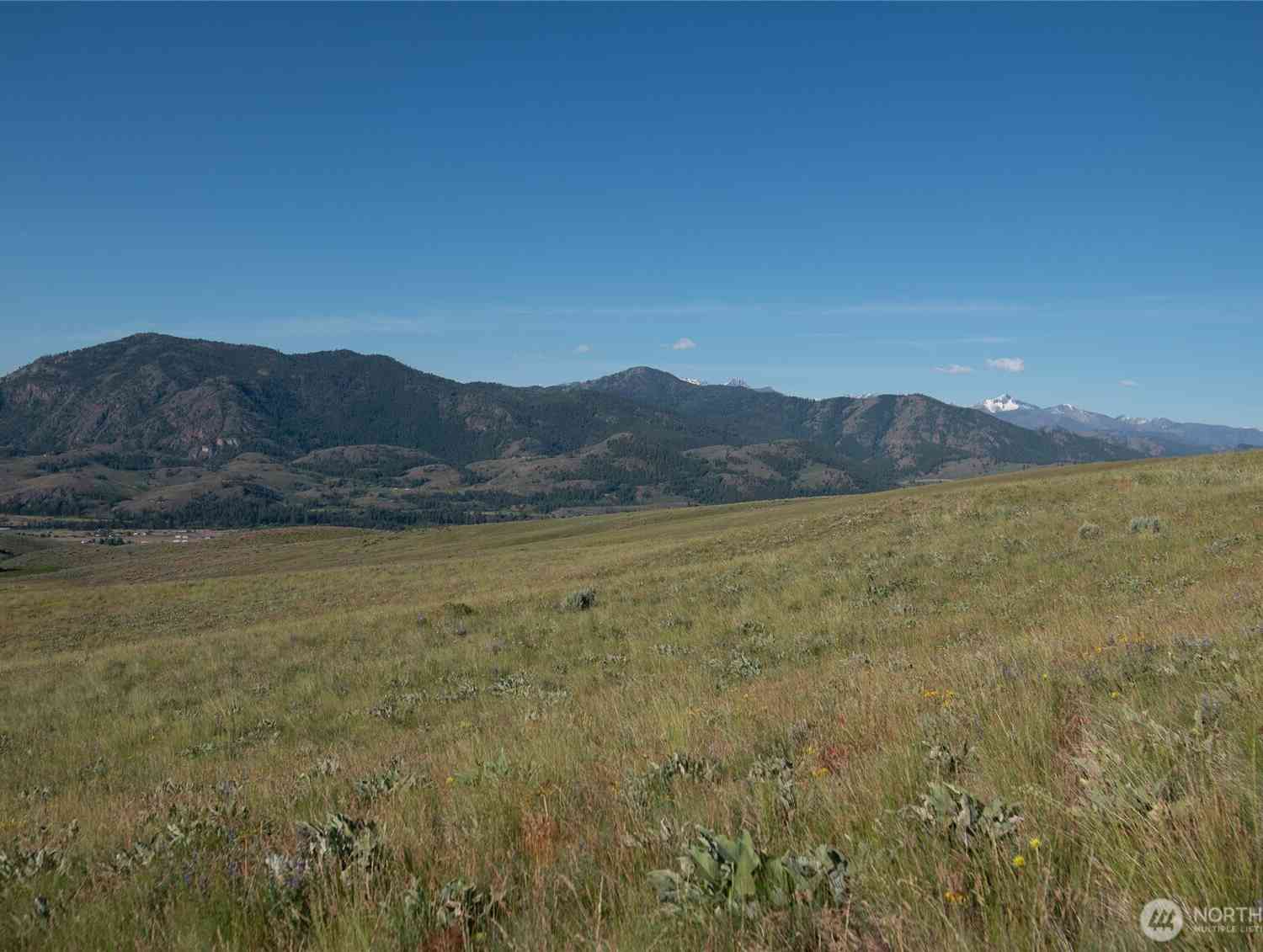 Vacant Land For Sale - 32 Maggies Road<br/> Twisp, WA 98856
