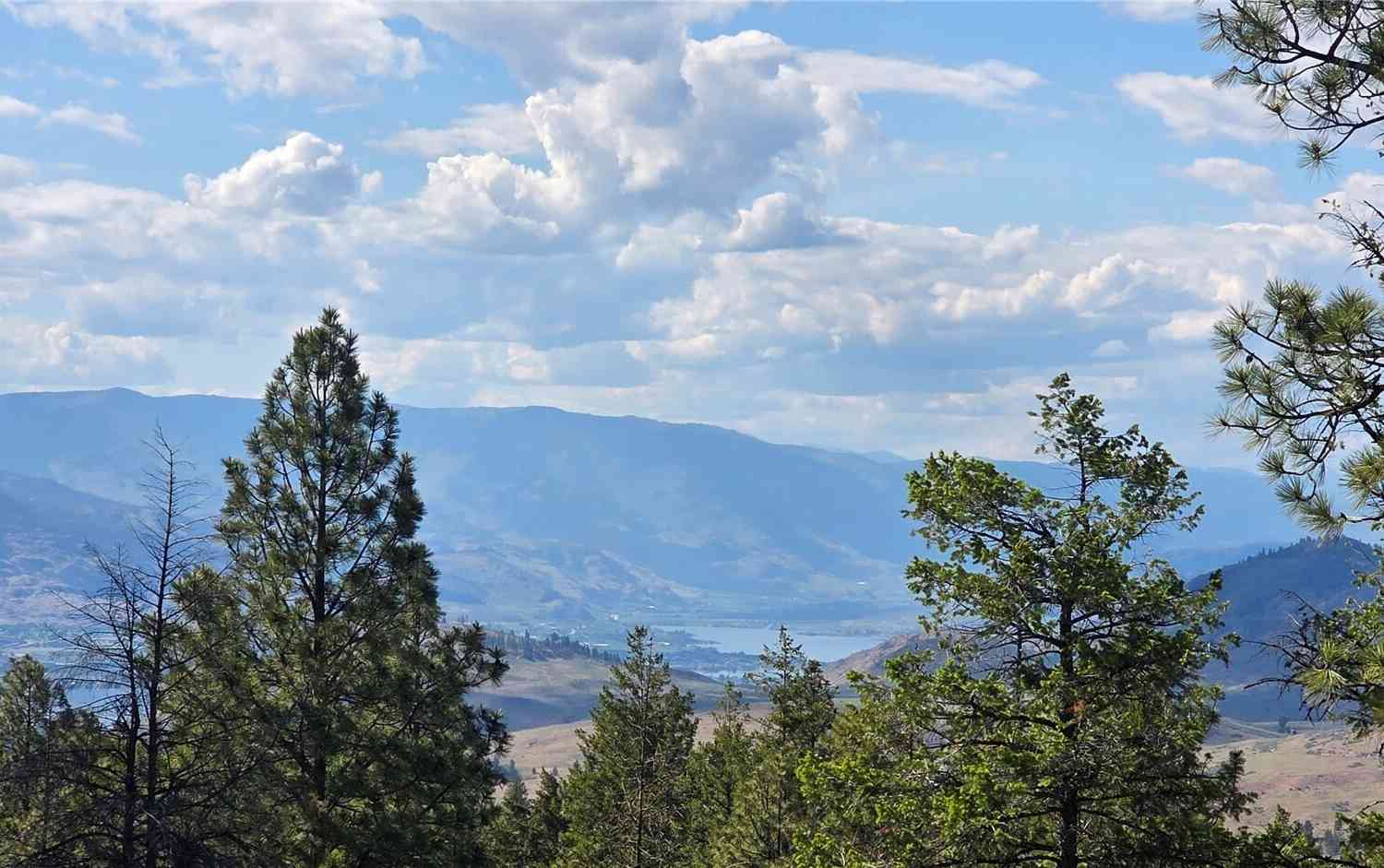 Vacant Land For Sale - 385 W Corral<br/> Oroville, WA 98844