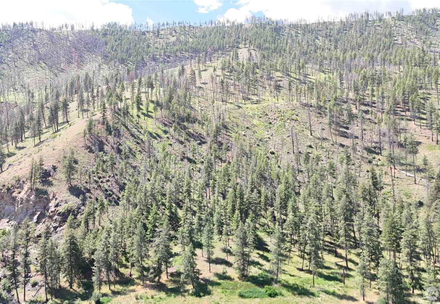 Vacant Land For Sale - 0 XXX Golden Creek Loop Road<br/> Carlton, WA 98814