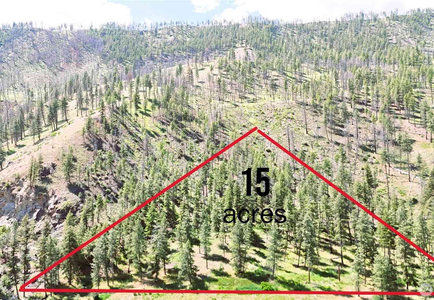 Vacant Land For Sale - Gold Creek Road<br/> Carlton, WA 98814
