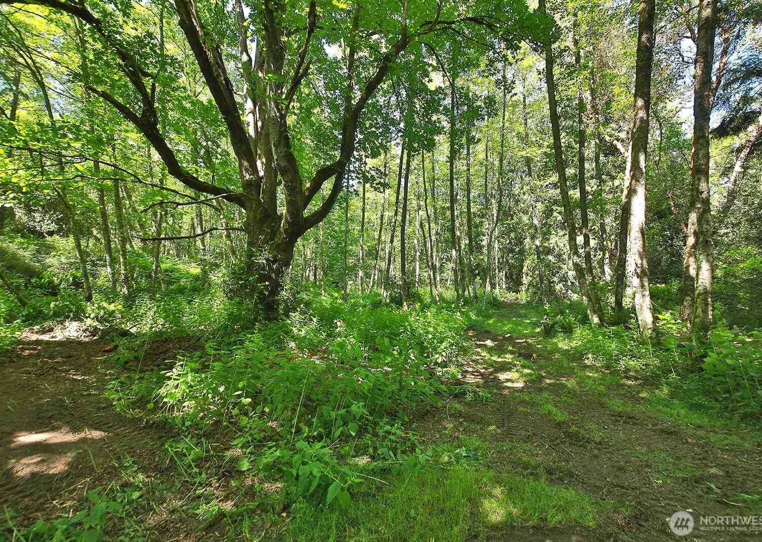 Vacant Land For Sale - Foxglove<br/> Langley, WA 98260
