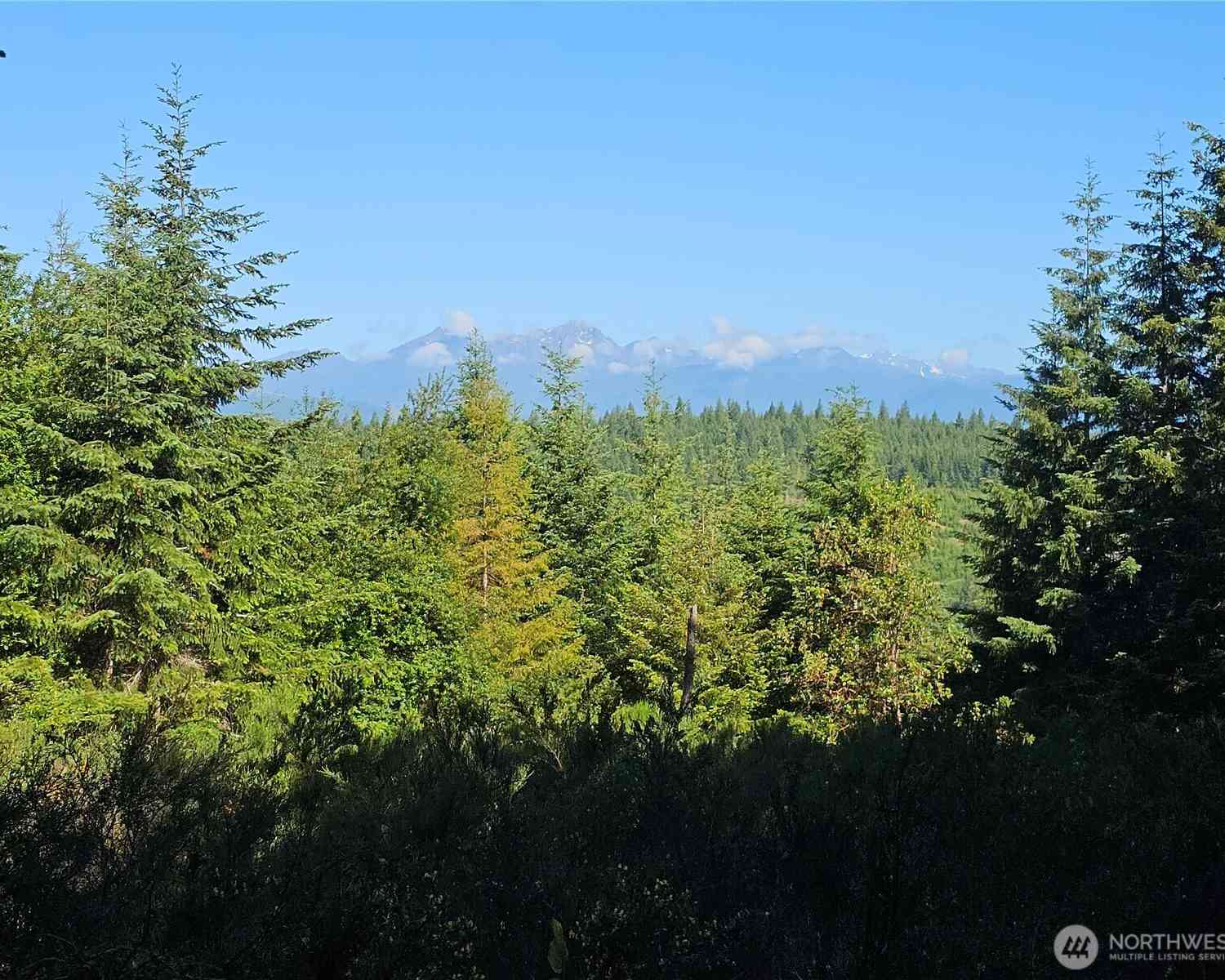 Vacant Land For Sale - 400 XXX Southridge Drive<br/> Belfair, WA 98528