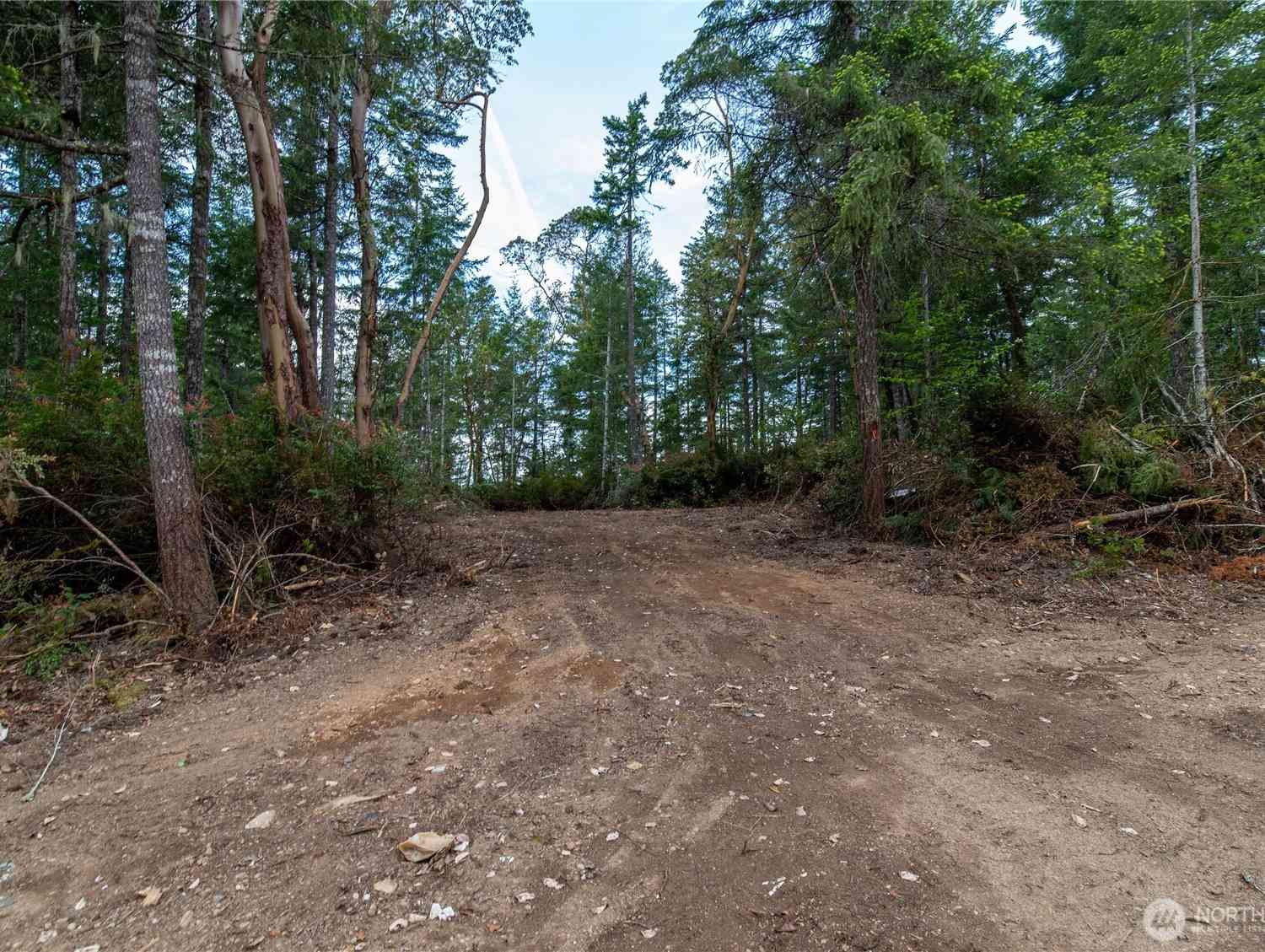 Vacant Land For Sale - E Elaine Place<br/> Belfair, WA 98528