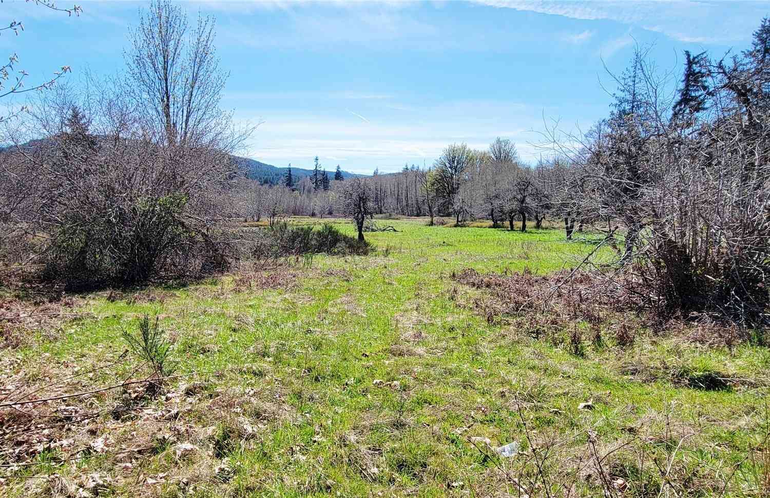 Vacant Land For Sale - W Cloquallum Road<br/> Shelton, WA 98584