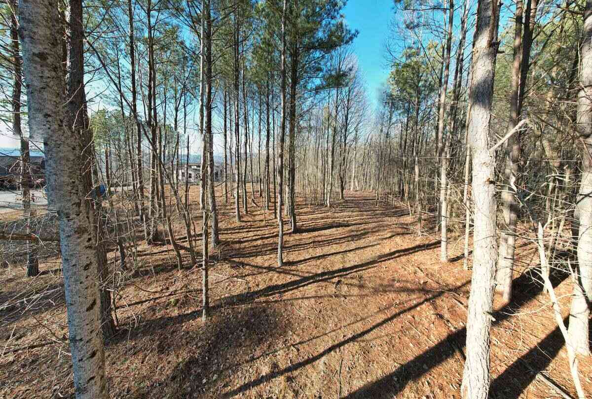 Vacant Land For Sale - Waterwheel Way<br/> Jasper, TN 37347