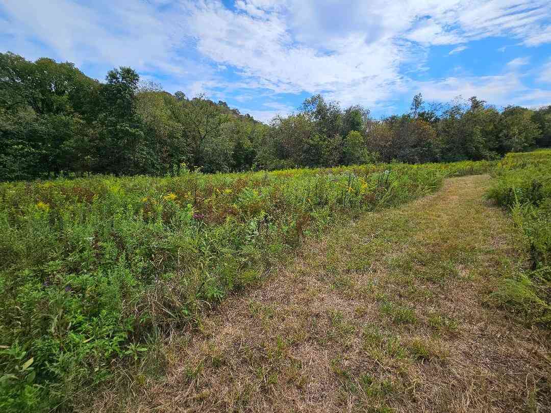 Vacant Land For Sale - Highway 96<br/> Buffalo Valley, TN 38548