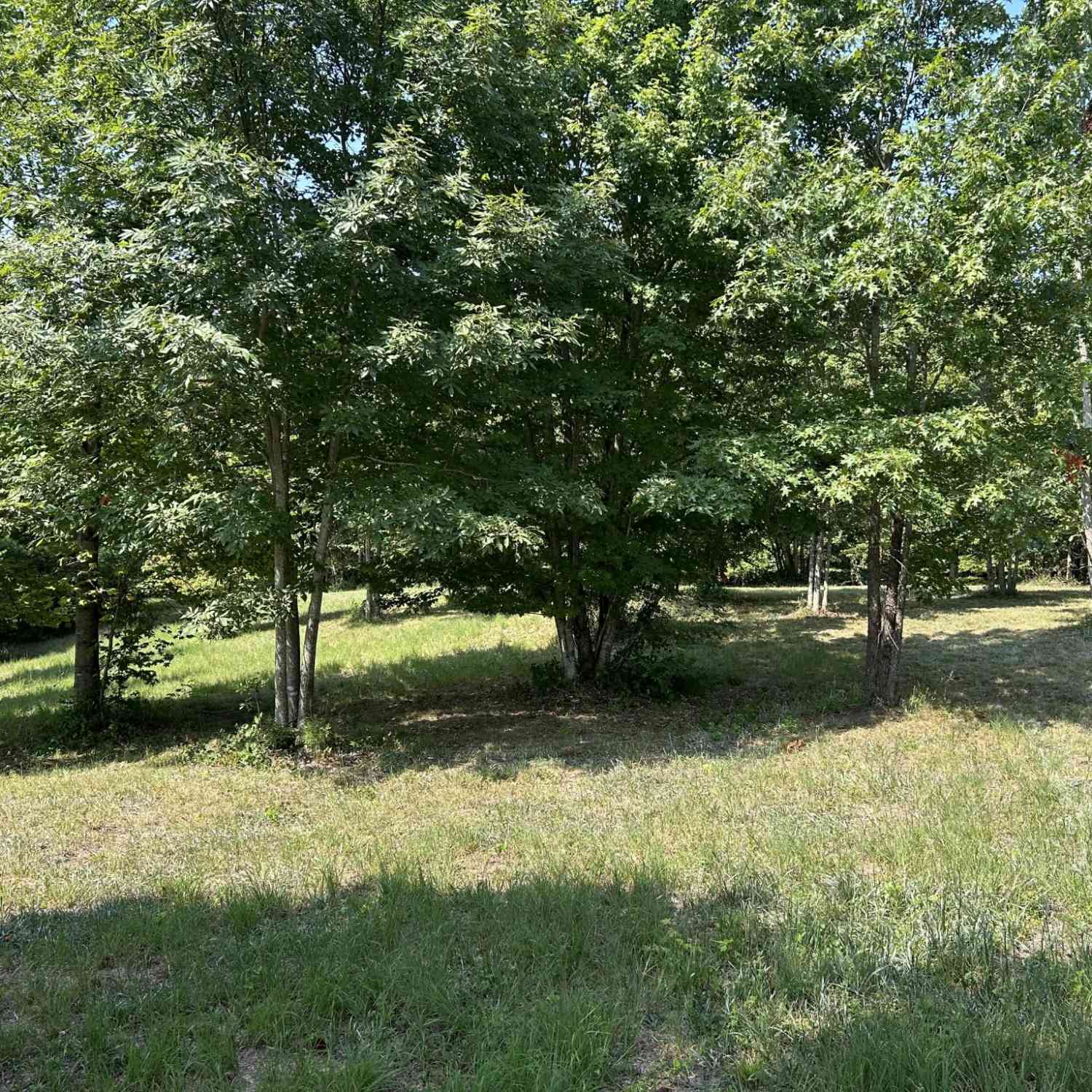 Vacant Land For Sale - 245 Lookout View Drive<br/> Jasper, TN 37347