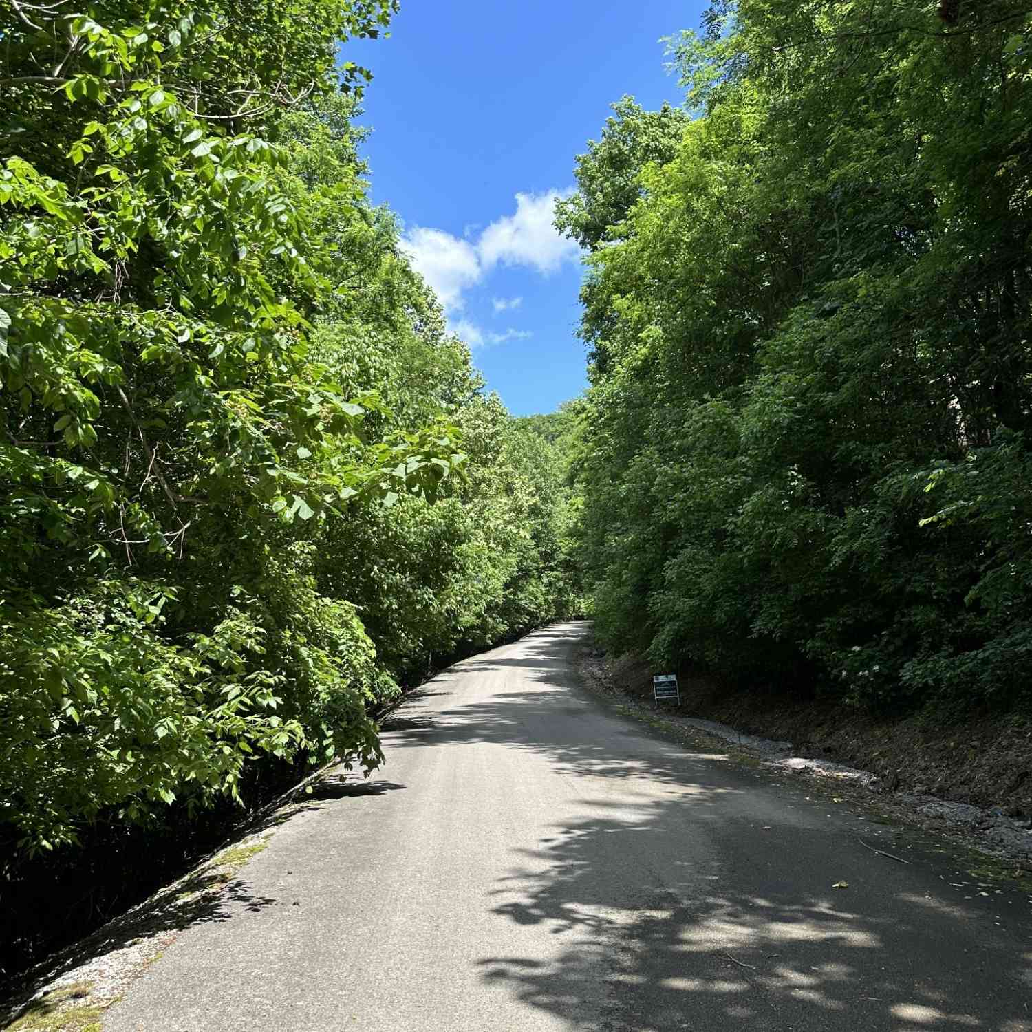 Vacant Land For Sale - Shoreside Dr<br/> Dekalb County, Smithville, TN 37166