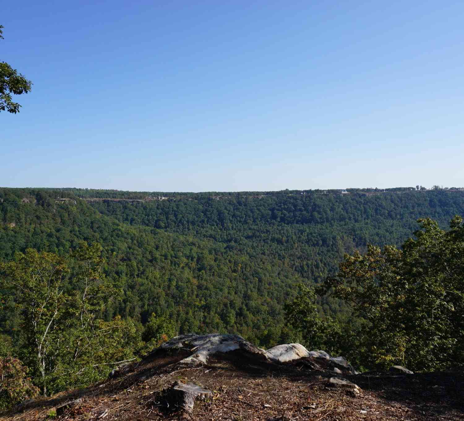 Vacant Land For Sale - Crockett Point<br/> Jasper, TN 37347