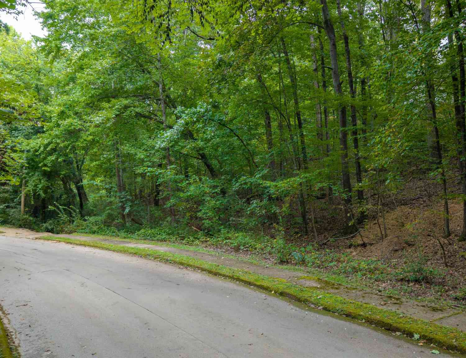 Vacant Land For Sale - 4742 Buckingham Drive<br/> Hamilton County, Chattanooga, TN 37421