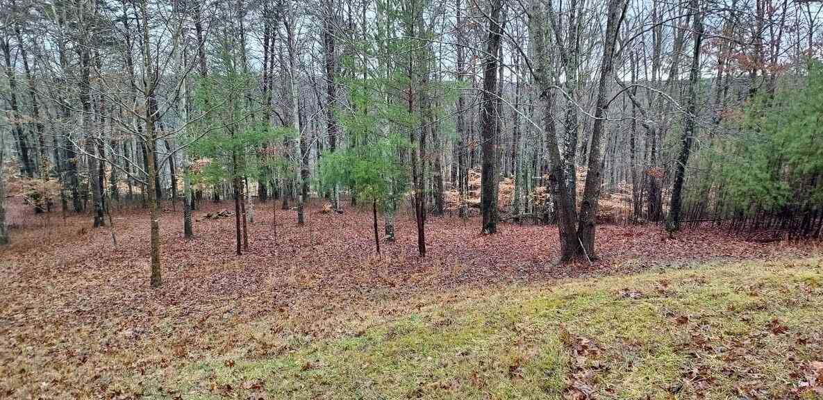 Vacant Land For Sale - Wilderness Lane<br/> Spencer, TN 38585