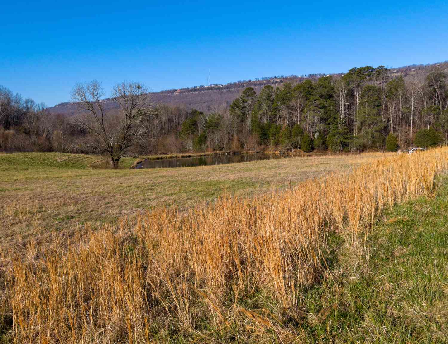 Vacant Land For Sale - 4975 Browntown Road<br/> Hamilton County, Chattanooga, TN 37415