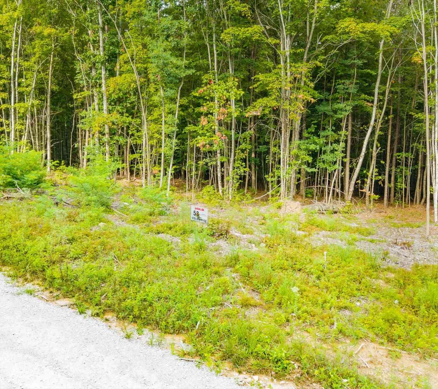 Vacant Land For Sale - Spokelay Rd<br/> Van Buren County, Spencer, TN 38585