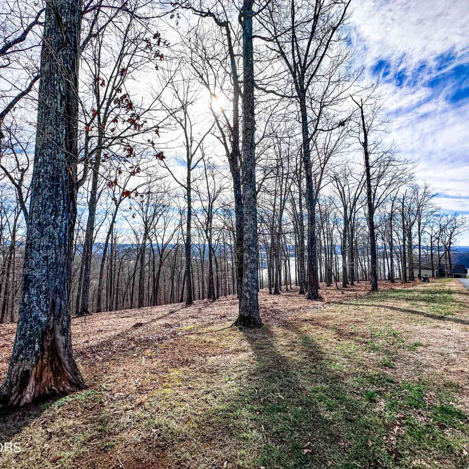 Vacant Land For Sale - Grand Vista Drive<br/> Roane County, Rockwood, TN 37854