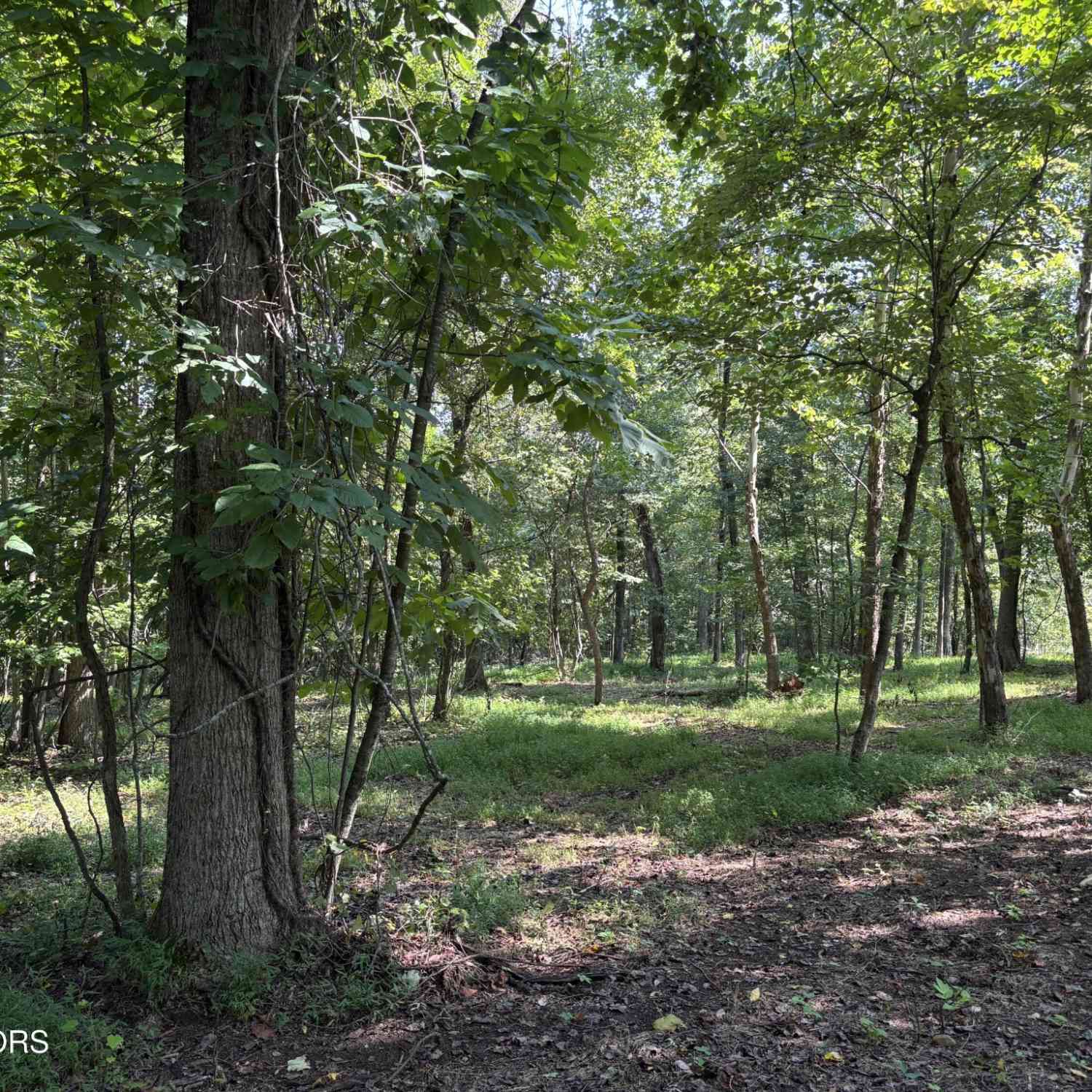 Vacant Land For Sale - 371 Walking Horse Tr<br/> Roane County, Rockwood, TN 37854