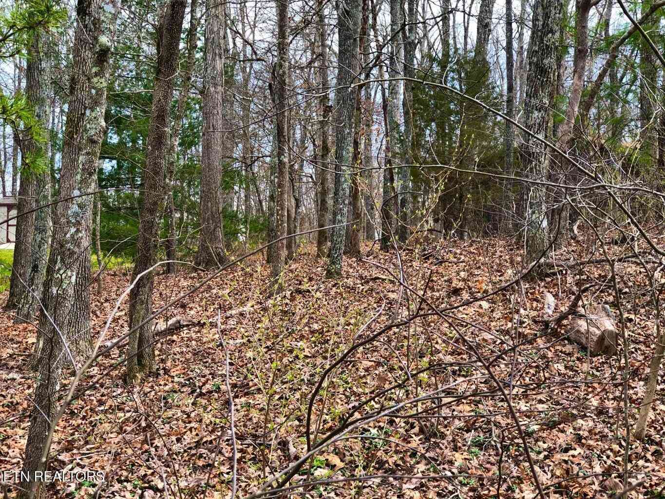 Vacant Land For Sale - 11 Oxford Circle<br/> Cumberland County, Crossville, TN 38558