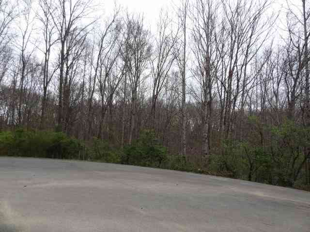 Vacant Land For Sale - Eugene Court<br/> Cumberland County, Crossville, TN 38555