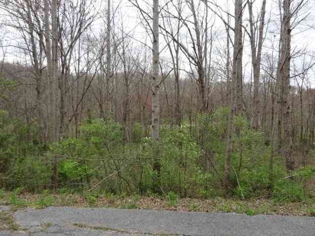Vacant Land For Sale - Eugene Court<br/> Cumberland County, Crossville, TN 38555