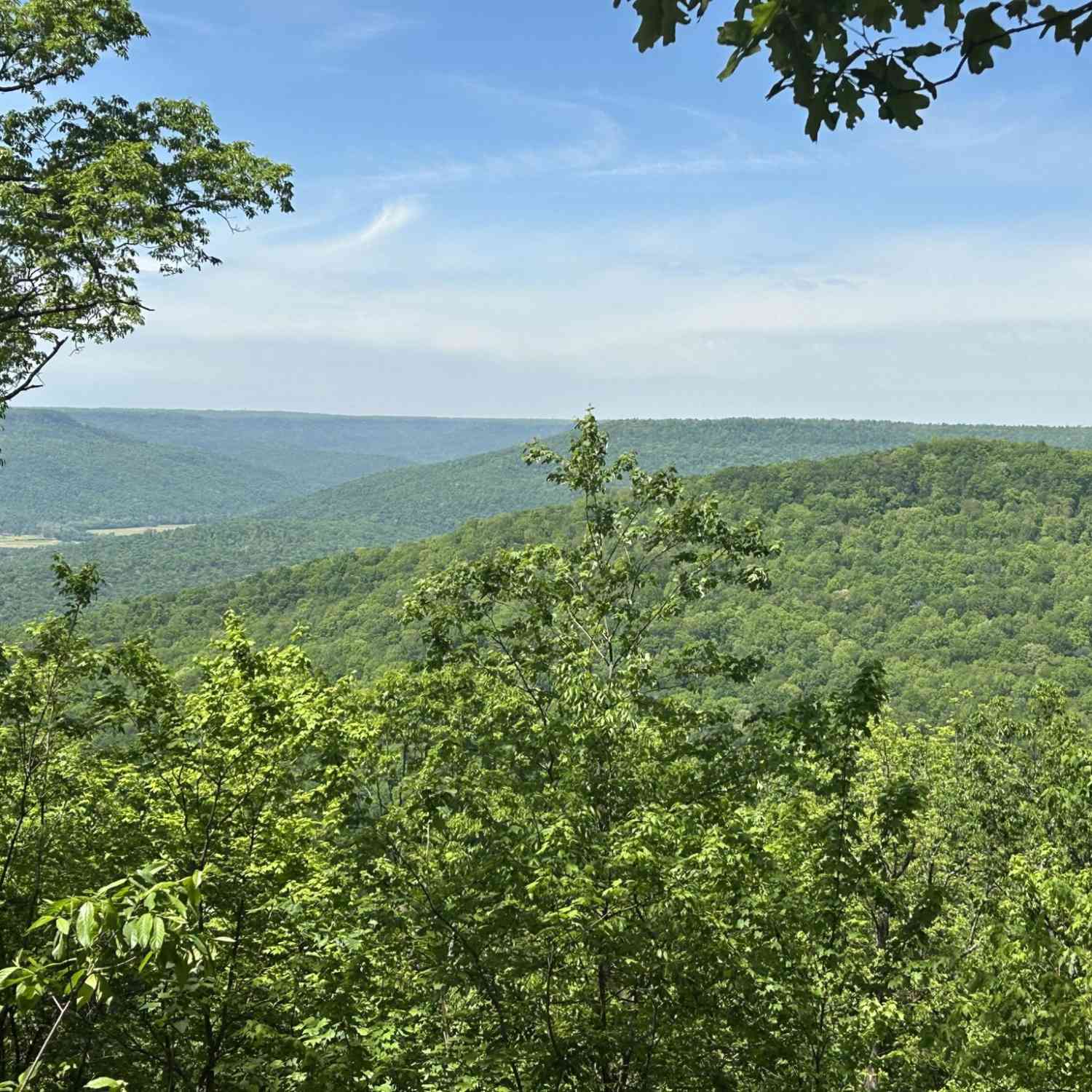 Vacant Land For Sale - 460 Volunteer Street<br/> Jasper, TN 37347