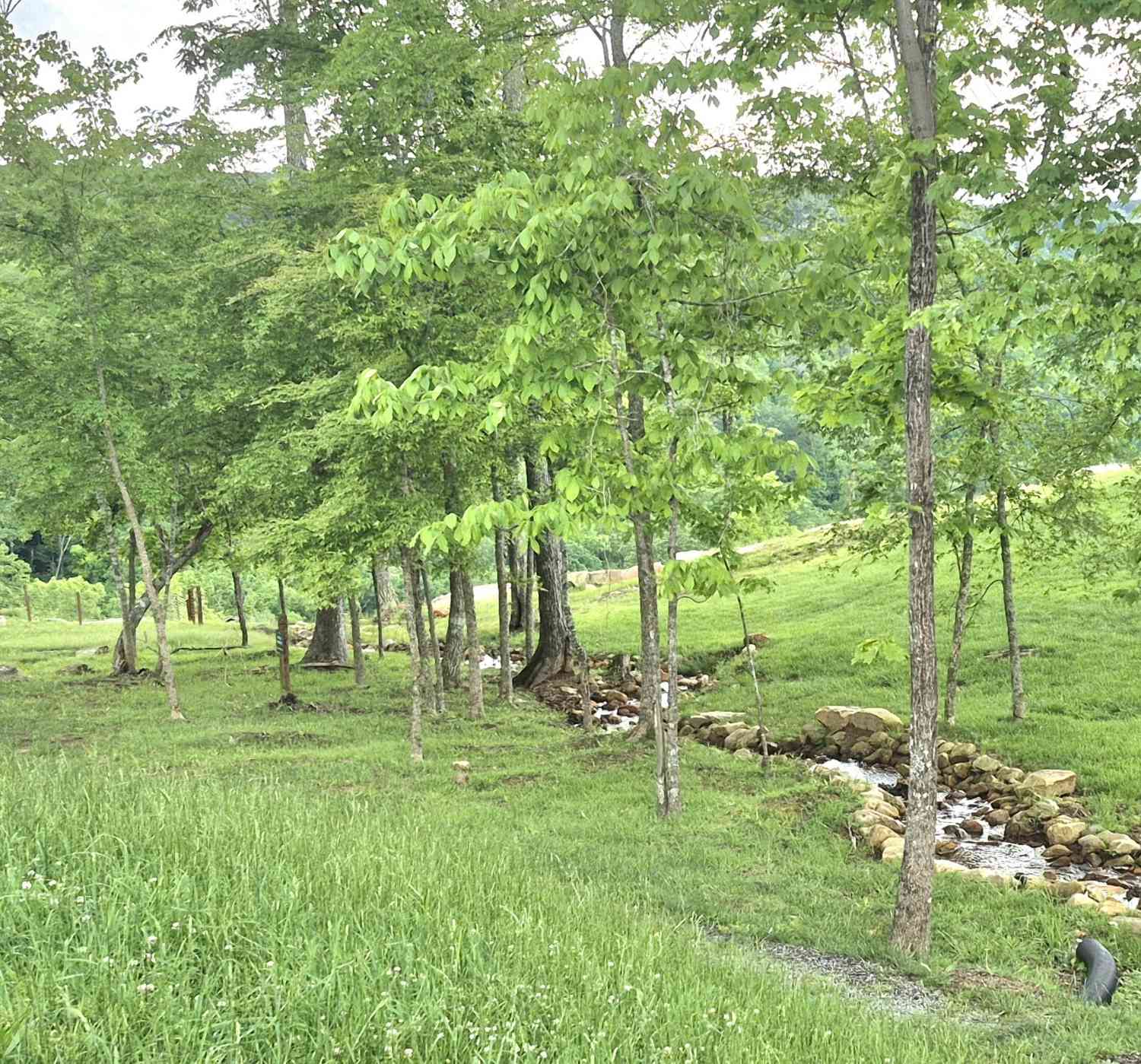 Vacant Land For Sale - 6070 Raulston Falls Road<br/> Jasper, TN 37347