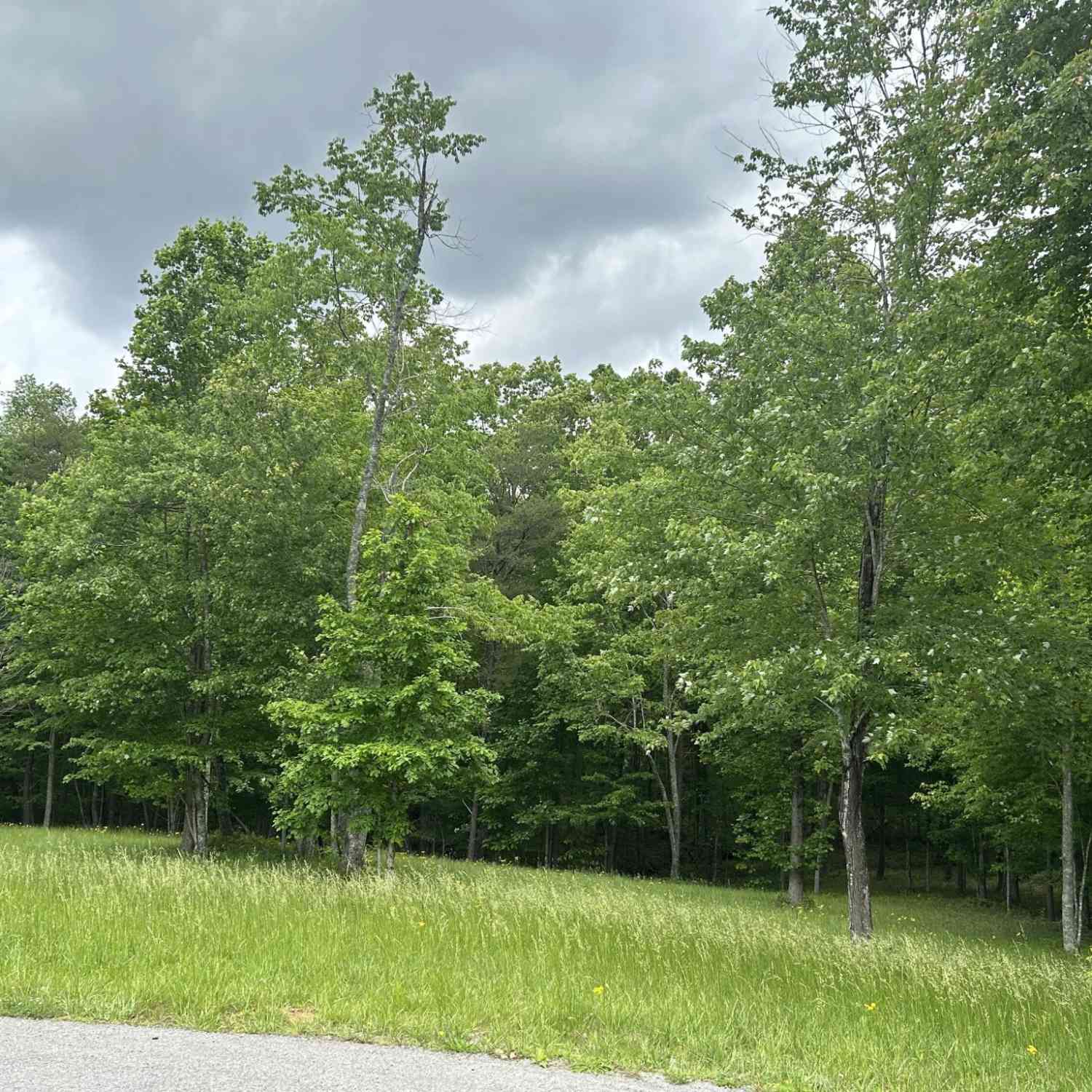 Vacant Land For Sale - 284 Jasper Creek Court<br/> Jasper, TN 37347