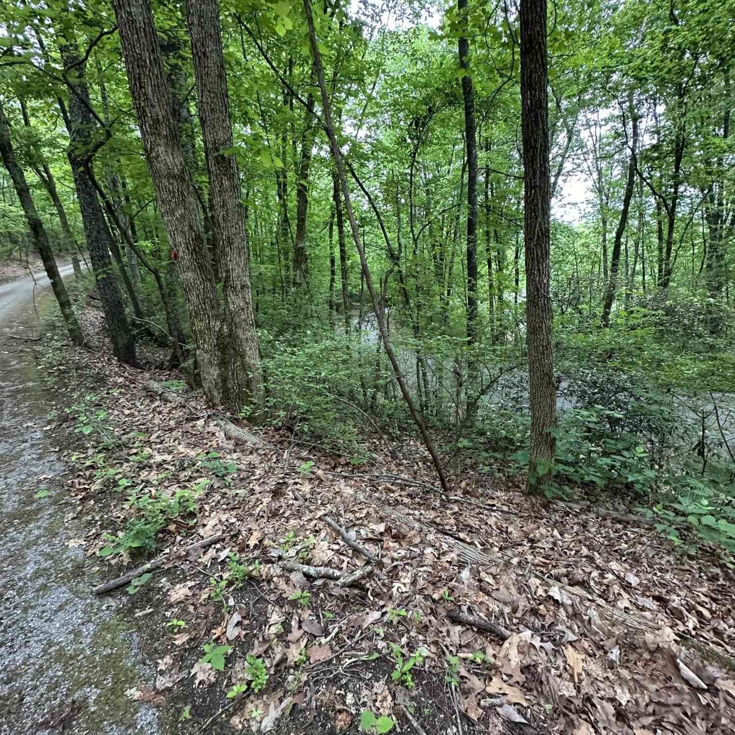 Vacant Land For Sale - Wheeler Avenue<br/> Hamilton County, Chattanooga, TN 37406