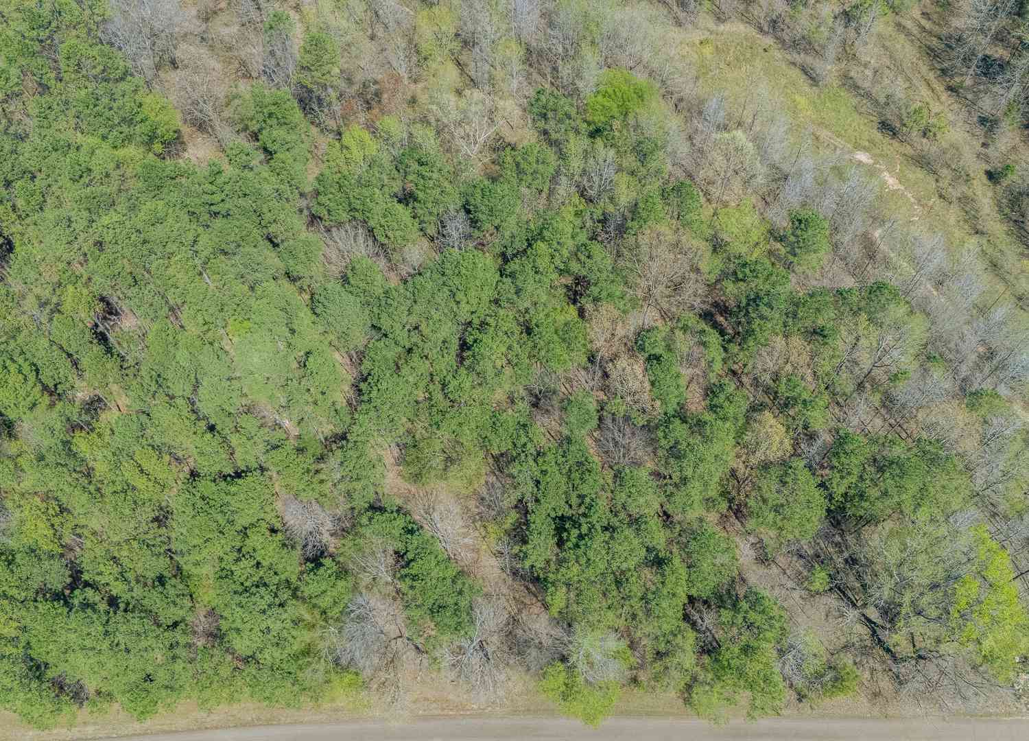 Vacant Land For Sale - 956 Fairway Dr<br/> Saulsbury, TN 38067